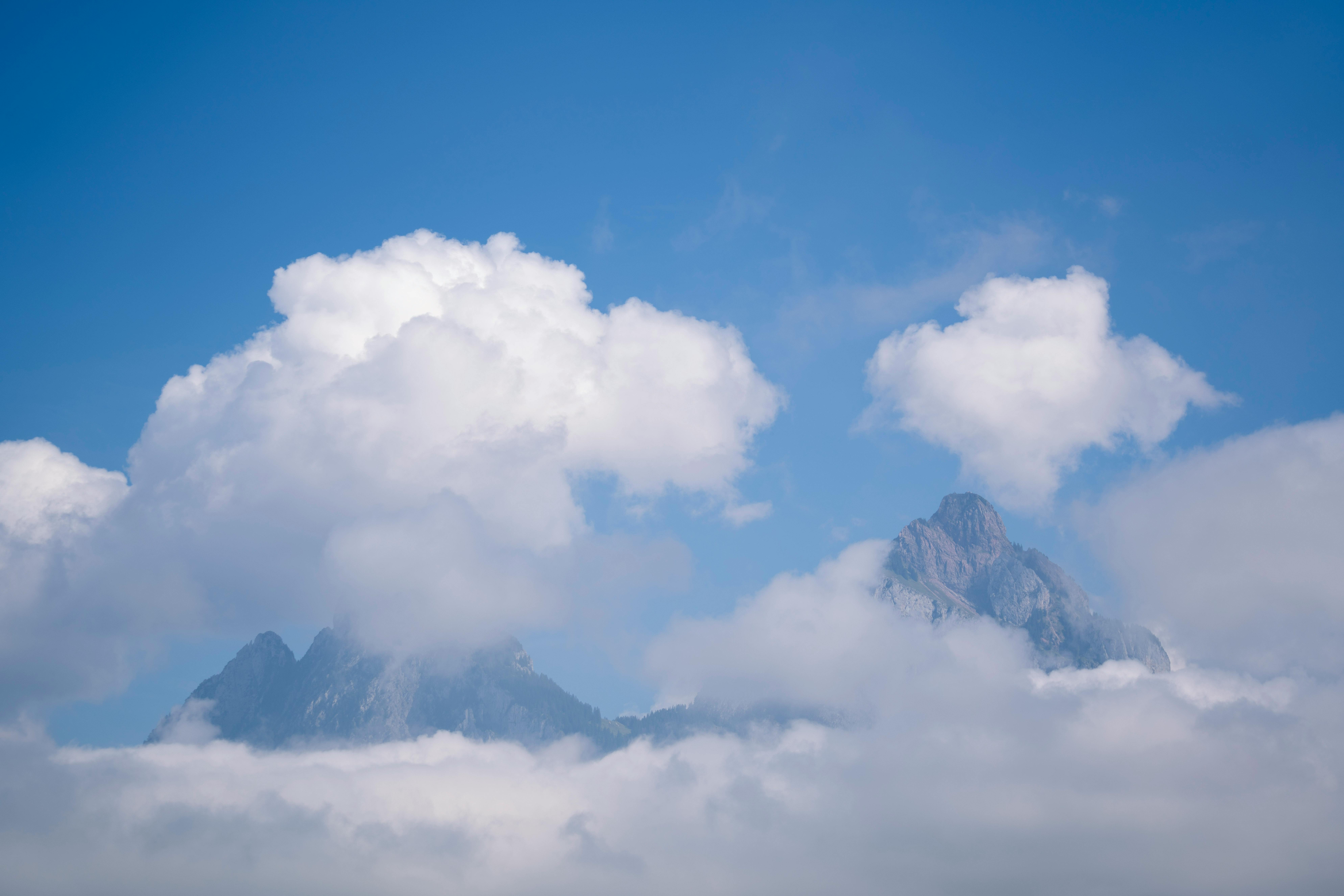 pexels-triemli-28598616